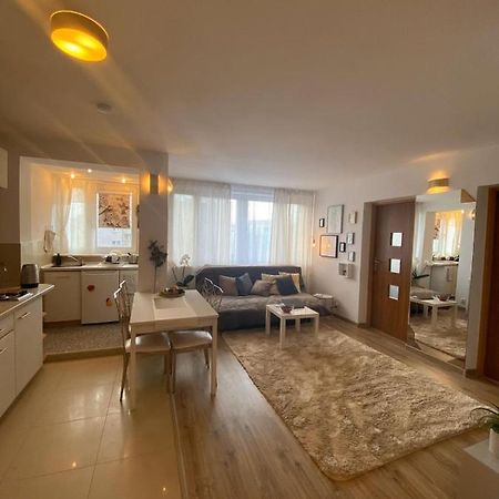 Vicky - New Apartment Centrum Srodmiescie Βαρσοβία Εξωτερικό φωτογραφία